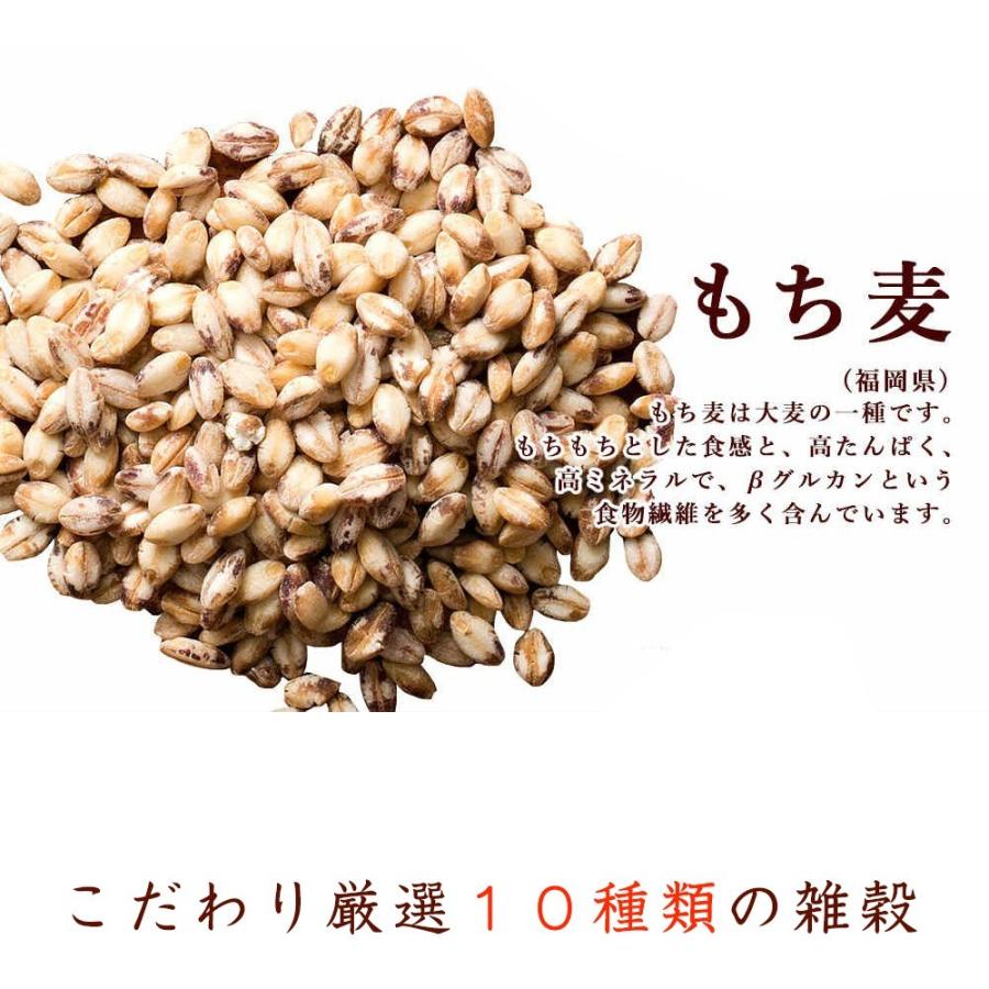 雑穀 雑穀米 国産 胡麻香る十穀米 4.5kg(450g×10袋) 送料無料