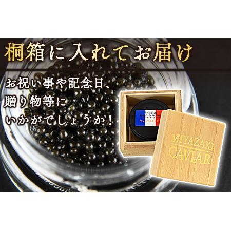 ふるさと納税 ＜クニトミキャビア40g（20g×2）＞翌月末迄に順次出荷 宮崎県国富町