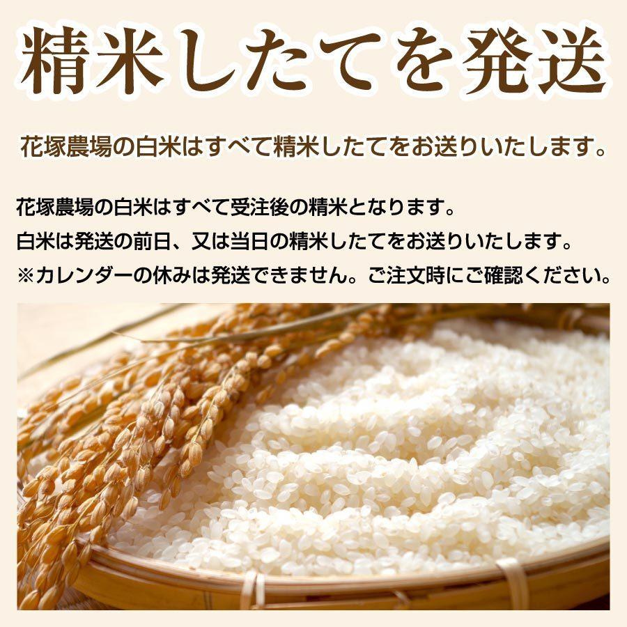 白米 令和5年産新米 秋田県産 あきたこまち 特別栽培米 10kg 農薬8割減 化学肥料9割減 慣行栽培比 農家直送