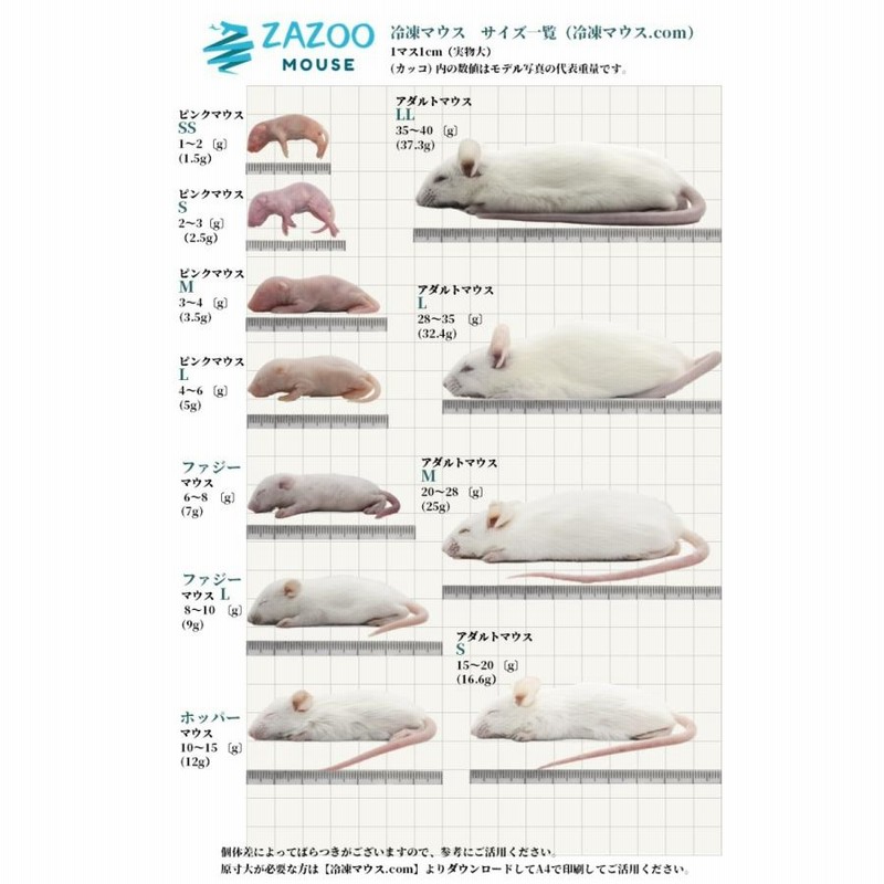 冷凍マウス アダルトM 5匹 国産 SAfarm | 冷凍マウス,アダルト