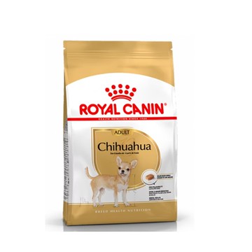 BHN 皇家吉娃娃幼犬CHP 1.5KG(下單後10個工作天寄出)