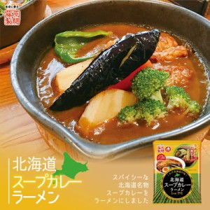 北海道スープカレーラーメン藤原製麺 インスタントラーメン 即席めん 北海道 ご当地 ラーメン お土産 ギフト プレゼン