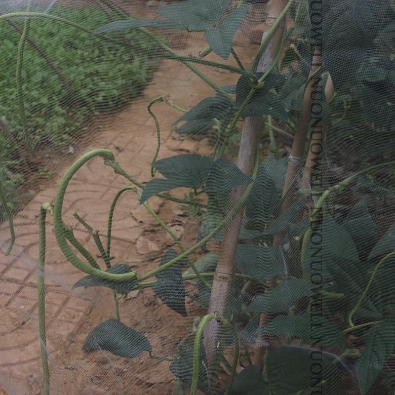 農場や温室用のナイロンメッシュ昆虫駆除ネット,野菜保護メッシュ,5メートル ロット60