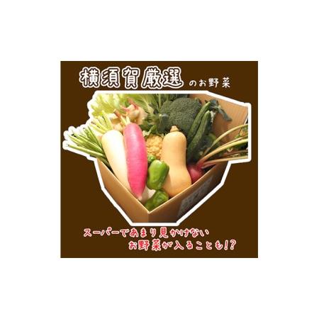 ふるさと納税 野菜セット 横須賀産 厳選 野菜 12種 詰め合わせ 大満足 セット 神奈川県横須賀市