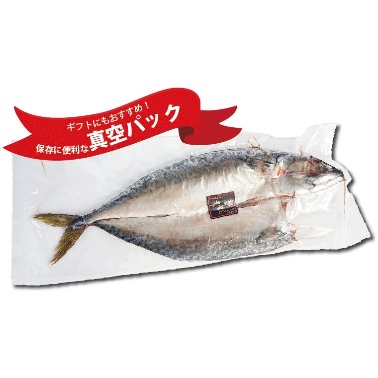 さば 干物 1尾×1パック サバ 鯖 干物セット 真空パック 一夜干し 一夜干し魚 一夜干しセット ((冷凍))