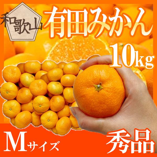 和歌山県産　有田みかん　Мサイズ　約10kg　秀品