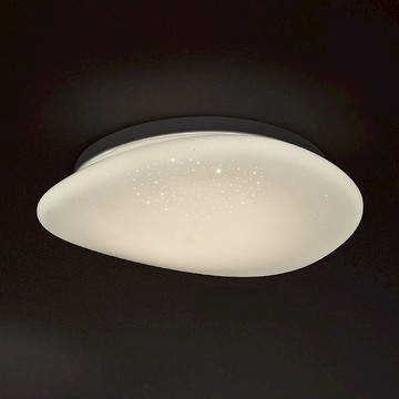 96W 單色吸頂燈 L01-2451B