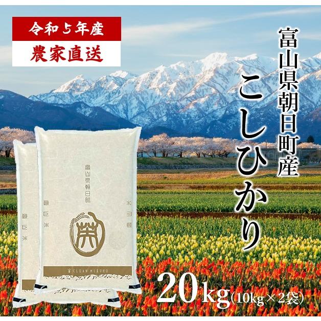 令和5年産 富山県朝日町産 こしひかり 20kg 白米 農家直送 送料無料