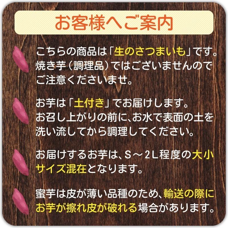 さつまいも 紅はるか  安納芋 20kg 食べくらべセット 土付き・大小サイズ混在 鹿児島県産 さつま芋