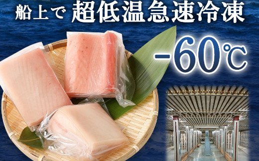  厳選 トロびんちょうマグロ 約500g　ge014