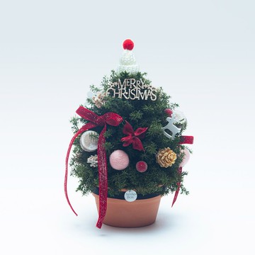 雪松小屋 永生雪松 聖誕限量 交換禮物 聖誕節 聖誕佈置