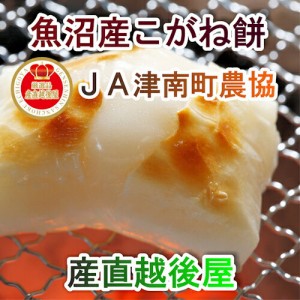  新潟県 JA津南町農協産 杵つきこがね餅 500g12枚入3パック