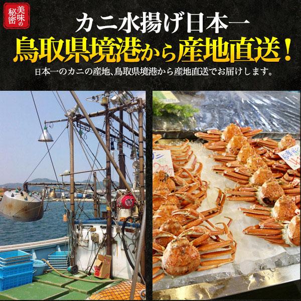 領収書発行可 アウトレット 訳あり 茹で 冷凍 松葉ガニ 約800〜900g 2杯セット 人気 お取り寄 カニ グルメ ランキング ギフト 松葉蟹 松葉がに カニ ずわいがに