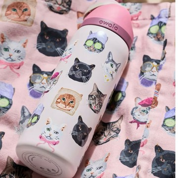 🇨🇦 加拿大購入‼️Urban Outfitters O wala 限定款 32oz 無尾熊🐨 O wala水壺‼️