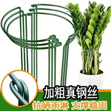 ✨華泰五金行✨滿99出貨 花支撐架金錢樹植物花支架支撐杆花架花卉龜背竹防倒伏虎皮蘭護花