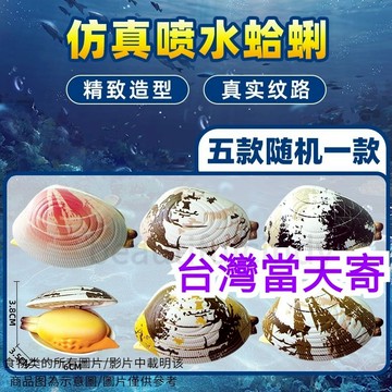 噴水蛤蜊 噴水牡蠣 噴水玩具 噴水神器 噴水蛤 噴水蛤蠣 整人蛤蜊 蛤蜊 噴水蛤蜊 水槍