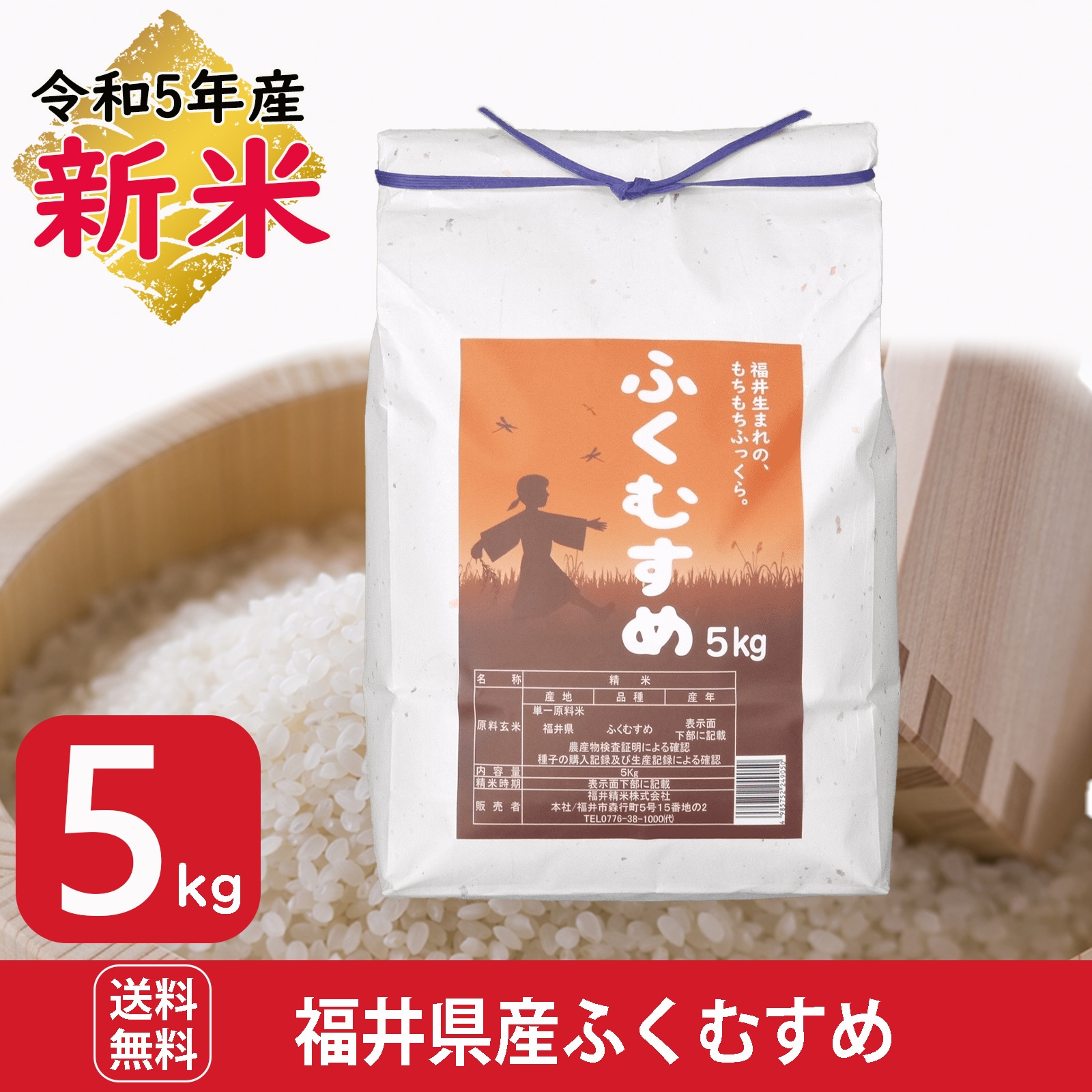 新米 福井県産ふくむすめ5kg 白米 令和5年産