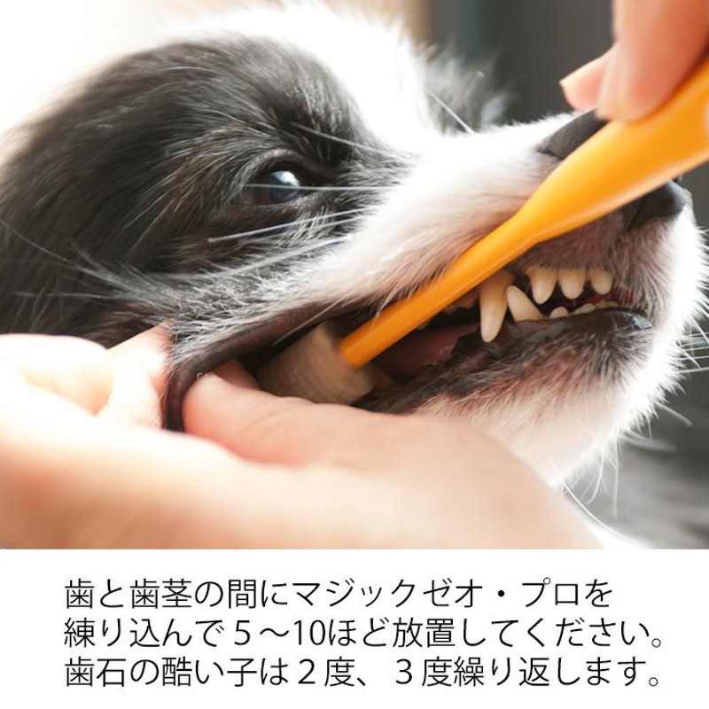 犬 歯石除去 マジックゼオプロ 犬 歯磨き 歯みがき粉 歯石取り 時間