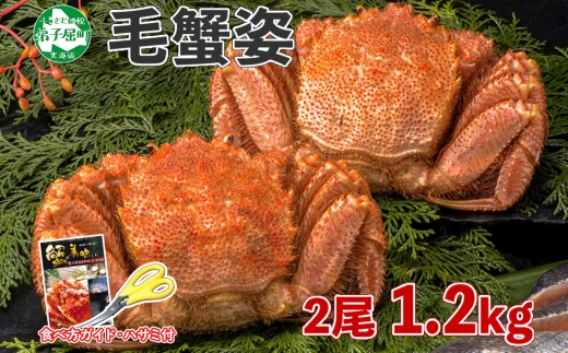 1217. 毛蟹 2尾 計1.2kg前後 食べ方ガイド・専用ハサミ付 カニ かに 蟹 海鮮 ボイル 送料無料 北海道 弟子屈町