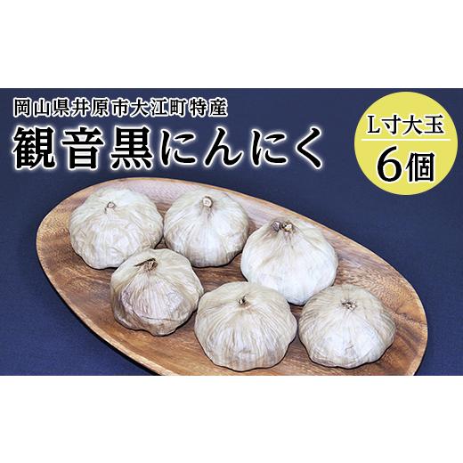 ふるさと納税 岡山県 井原市 A-28観音黒にんにく(L寸大玉)6個