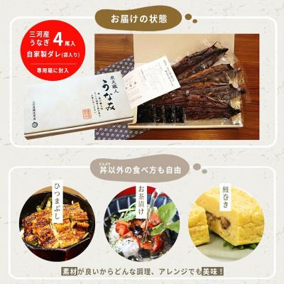 ふるさと納税 うなぎ 西尾市 一色産うなぎ職人手焼き蒲焼 180g×4尾　U005-30