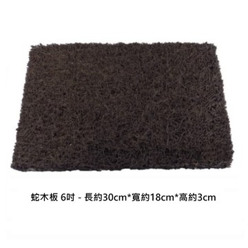 【向花緣】蛇木板 6吋 - 長約30cm*寬約18cm*高約3cm