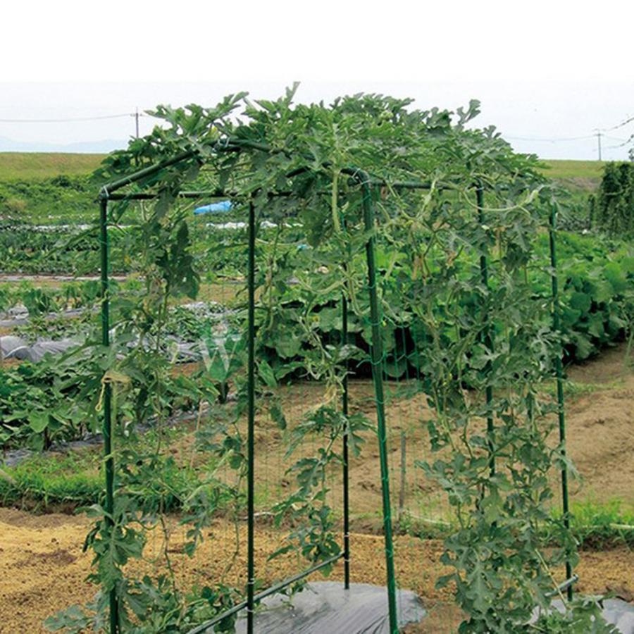 つるものネット 植物 果物 野菜栽培ネット  つるもの植物用支柱 180x270cm ナイロントレリスネット 登山用植物サポート