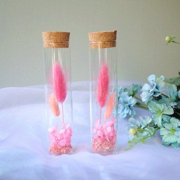 伊登花室 粉紅兔尾草 玻璃試管 / 單個