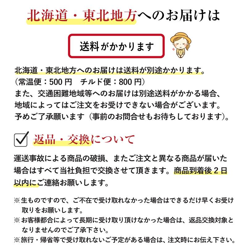 2月上旬発送予定 福岡県産 あまおう いちご イチゴ 苺 朝採り 農家直送 産地直送 お取り寄せ 甘い 美味しい 濃厚 旬 ご家庭用 ご自宅用 280g×2パック