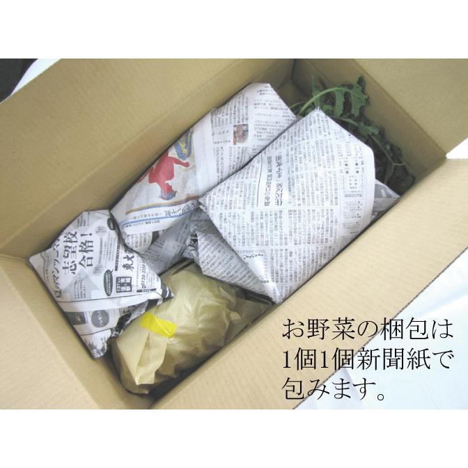 定期購入毎週お届け・無農薬100％・旬の新鮮野菜セット（約７品目）×５週分（ ・月、金曜日発送）　 　無農薬野菜