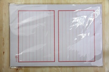 象球牌 101 模造十行紙 學生作文 學術報告 寫作 草稿 書信紙【領券滿額再折千12/31止】