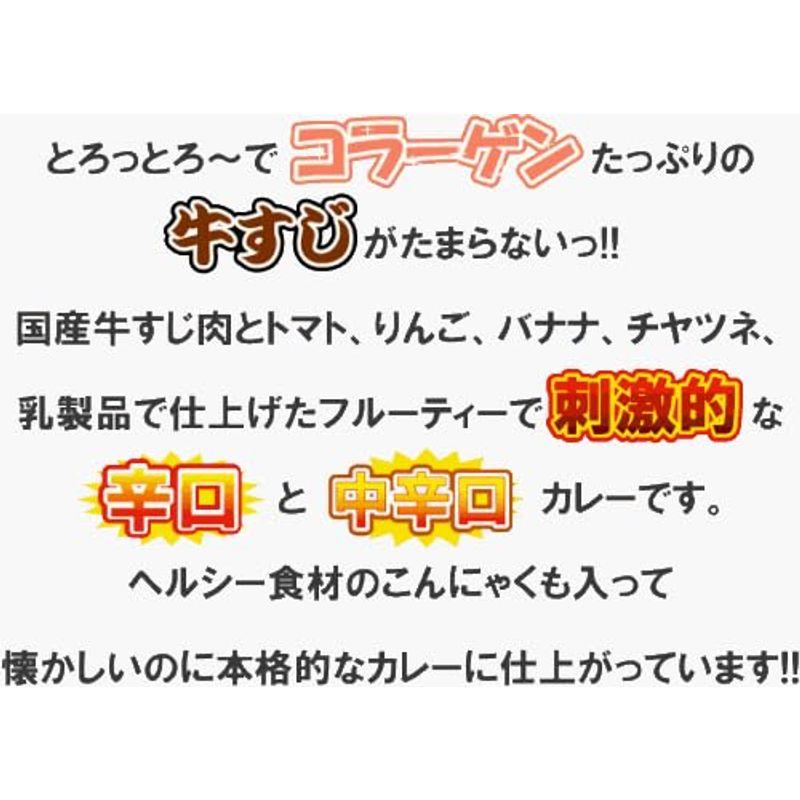 ご当地グルメ めっちゃ大阪 牛すじ カレー 200g×5袋(中辛×3＆辛口×2) 全国こだわりご当地カレー