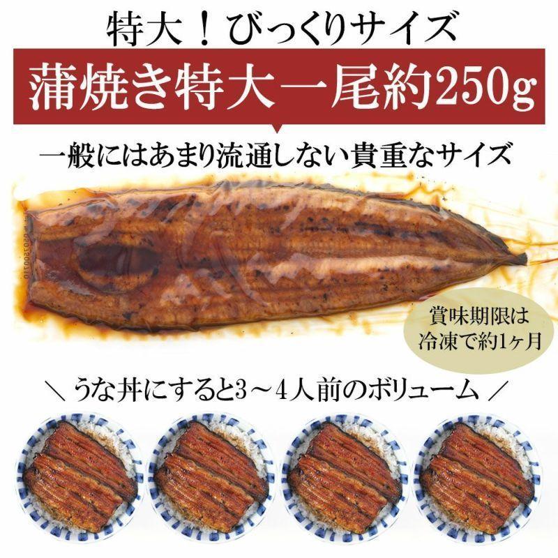 お歳暮 ウナギ 鹿児島県産 うなぎ　蒲焼き 1尾