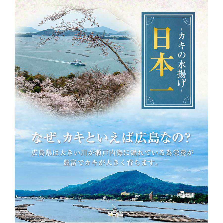 広島県産 カキフライ 500g 送料無料 1000円OFFクーポン 冷凍 牡蠣フライ 牡蠣 まとめ買い 7-14営業日以内に発送予定(土日祝日除く)