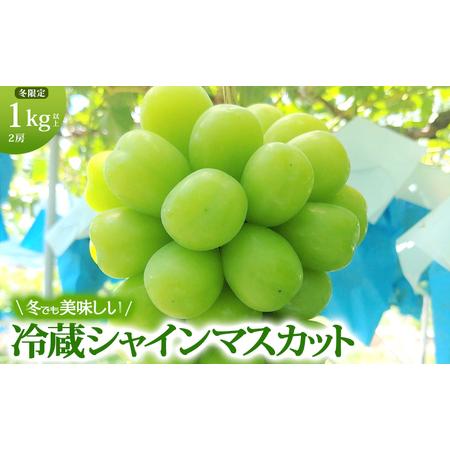 ふるさと納税  シャインマスカット 冷蔵 1kg以上 富山葡萄園 ぶどう 長野 マスカット ブドウ フルーツ 果物 シャイン 長野県坂城町