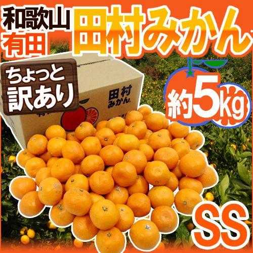 みかん 和歌山有田産 ”田村みかん” ちょっと訳あり SS 約5kg 産地箱 送料無料