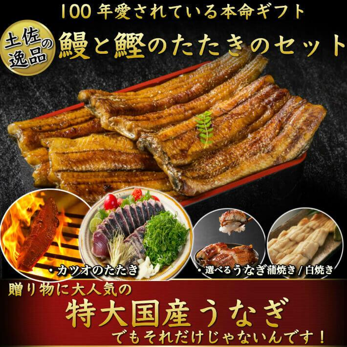 藁焼き鰹たたきと国産特大うなぎセット（蒲焼き 白焼き 選べる鰻) 誕生日 ギフト