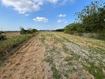 [霧峰]近國道3、6號低總價美農地1｜台中市霧峰區南勢東段