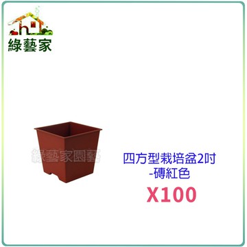 【綠藝家】四方型栽培盆2吋-磚紅色(厚) 100個/組