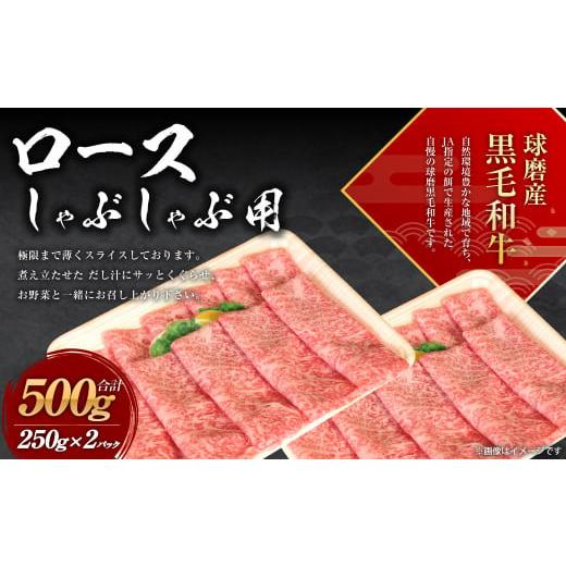 ふるさと納税 熊本県 水上村 球磨産 黒毛和牛 ロース しゃぶしゃぶ用  500g (250g×2パック)