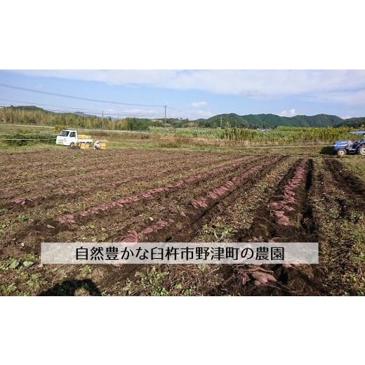 ふるさと納税 大分県 臼杵市 いちご屋のさつまいも「紅はるか」（6kg）