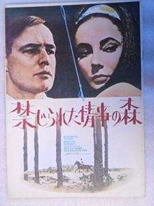 1967年映画パンフレット　禁じられた情事の森　ジョン・ヒューストン監督　(中古品)