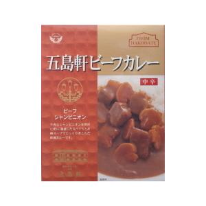 五島軒 3種類から選べる2つ(ビーフカレー・函館港町カレー・ハヤシビーフ) 送料無料 メール便