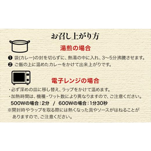 ふるさと納税 大分県 津久見市 大分豊後牛ビーフカレー 10袋セット レトルト カレー ビーフ レトルト食品 和牛カレー お惣菜 大分県産 九州産 津久見市 国産 …