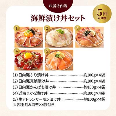 ふるさと納税 延岡市 日向灘 海鮮漬け丼 バラエティ全5回