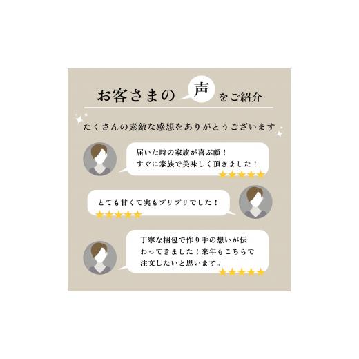 ふるさと納税 山梨県 笛吹市 超朝採れシャインマスカット 2〜3房 約1.2kg 山梨県 笛吹市 ※冷蔵配送 (2024年9月中旬から順次発送予定) …