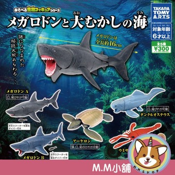 【M.M小舖】『現貨』 T-ARTS 轉蛋 扭蛋 可動生物模型 巨齒鯊與遠古生物之海 巨齒鯊 遠古 生物 全5款