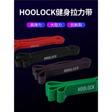 HOOLOCK運動健身拉力帶瑜伽引體向上器械輔助阻力帶彈力帶男女