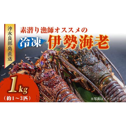 ふるさと納税 鹿児島県 和泊町 ■伊勢エビ冷凍  1kg