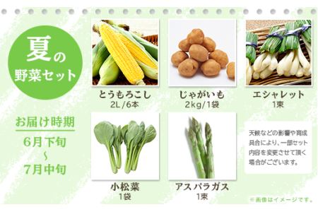 162茨城町産「旬の野菜果物」セット